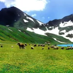 Deosai Burga la trek