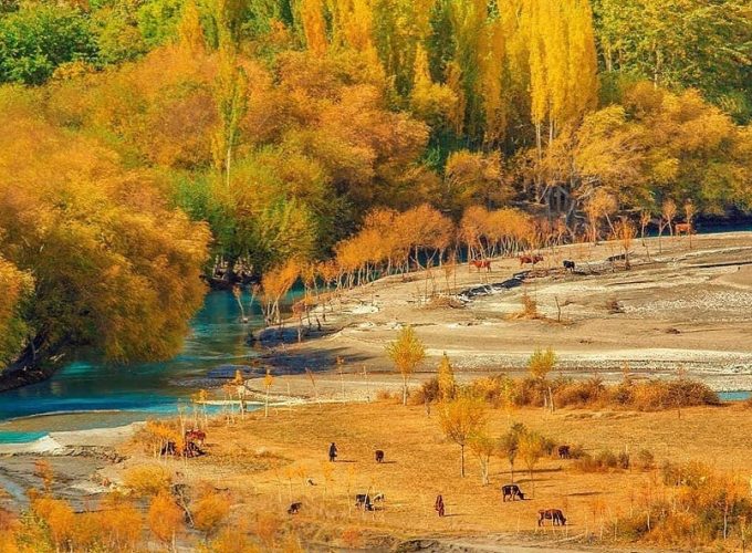 Gondogoro La Trek, Deosai & Fairy Meadow, K2, Rent a Car & Jeep Rentals  Services in Valley Skardu,Gilgit Hunza Pakistan