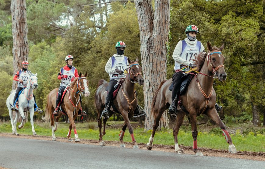 Horse Safaris in Pakistan